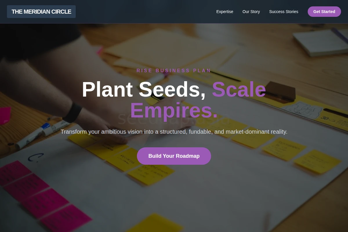 Rise Business Plan